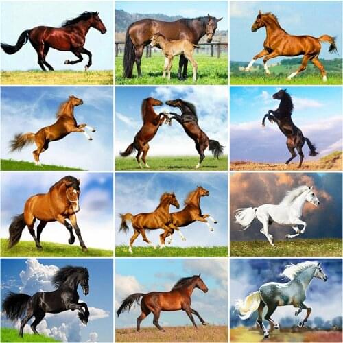 Evershine 5D DIY Diamond Painting Horse Diamond Embroidery Animal Cross Stitch Kit Mosaic Rhinestones Pictures Handicrafts Gift