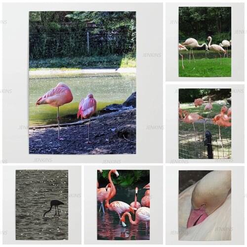 Modular Hd Prints Pictures Paintings Flamingo Home Decoration Canvas Animal Posters Wall Artwork For Living Room No Framework
