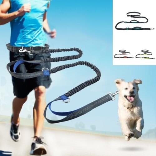 Pet Products Pet Dog Running Belt Elastic Hands-free Dog Leash Pet Running Walking Pet Leash Hand Free Leashes For Dogs Runing