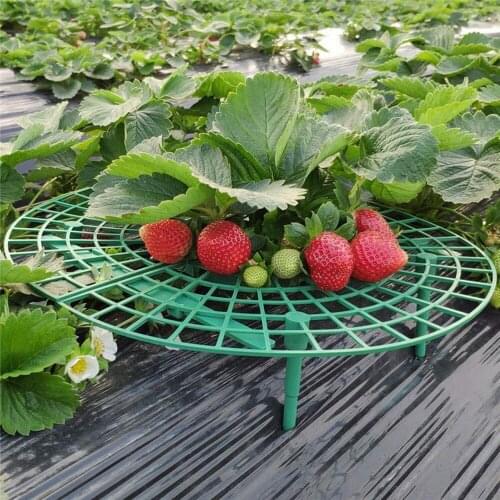 5 PCS Strawberry Stand Frame Holder Balcony Planting Rack Fruit Support Plant Flower Climbing Vine Pillar Gardening Stand