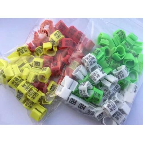 Customized colour plastic electronic ring printing letters year numbers 1000pcs