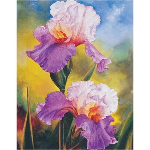 Counted Cross Stitch Kits Needlework Embroidery - Crafts 14 ct Aida DMC Color DIY Arts Handmade Home Decor - Flor Iris