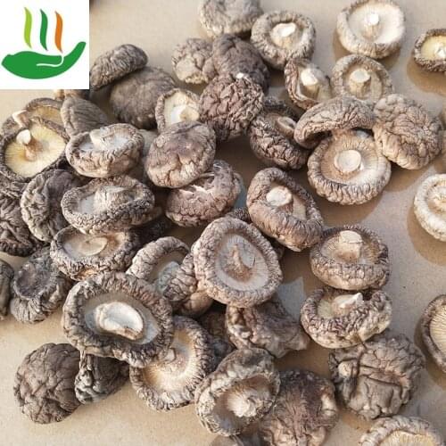 Dried Shiitake Mushroom Dried Shiitake Mushrooms Natural Organic Pure Wild Dried Shiitake Mushrooms Xiang Gu Powder