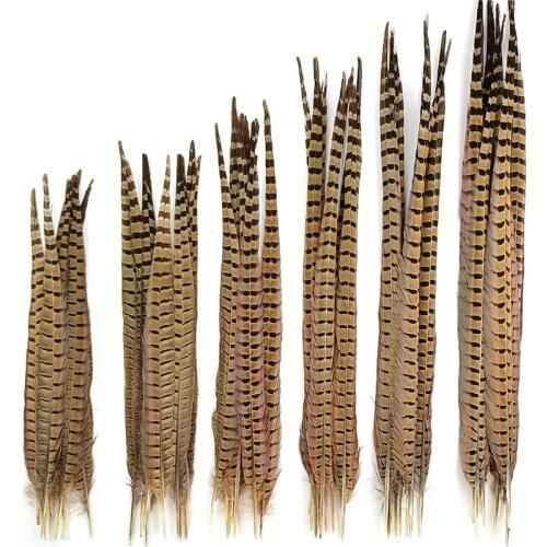 10Pcs/Lot Natural Pheasant Tail Feathers Diy Table Centerpieces Indian Headdress Accessories Holiday Decoration Carnival Feather