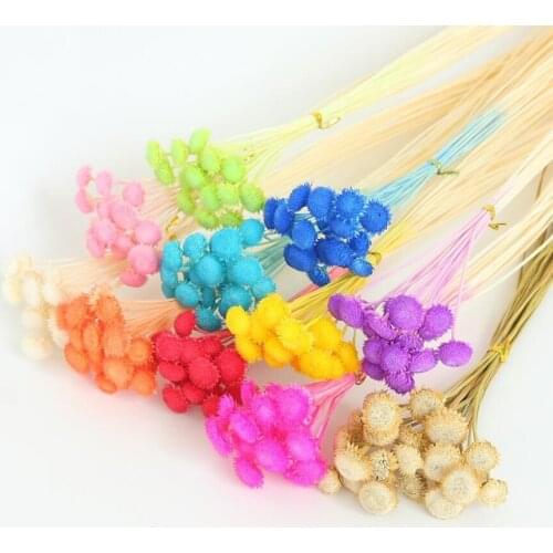 10 Bundles Preserved Fresh Diamond Flower Limonium sinense For Flower Arrangement Wedding Christmas Party Home Garden Decoration