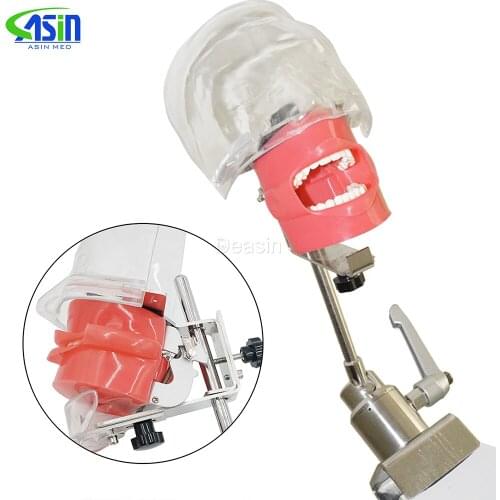 Simple Head model Apply to the oral cavity simulation training fixed on the dental chair for any position practice