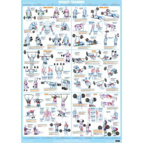 Bodybuilding Weight Training Art Film Print Silk Poster Home Wall Decor 24x36inch