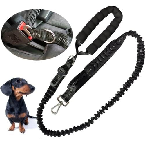 Nylon Pet Automatic Retractable Dog Leash Double Handle Dogs Car Seat Belt Ourdoor Training Running Pets Lead Rope For Chihuahua