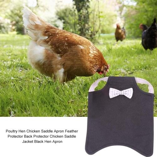 Adjustable Poultry Hen Apron Poultry Hen Saddle Apron Feather Protection Holder Chicken Duck Wings Back Protector Hen Dress