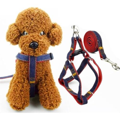 2020 New Arrival Hot Sales Colorful Jean Denim Leash Harness Dog Collar Chain Cat Rope Belt Adjustable Collar Dogs