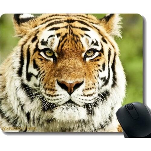 Non-Slip Rubber Gaming Mouse Pad,Tiger Muzzle Predator Striped Eyes Big Cat 59385 Mouse Pads With Stitched Edges