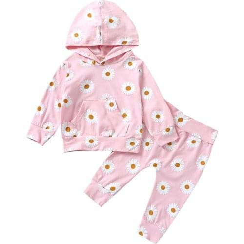 Girls Casual Two-piece Clothes Set Floral Printed Pattern Hooded Pullover and Elastic Waist Pants Autumn Outfits