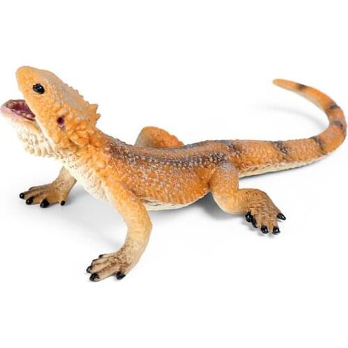 Simulation animal model toy chameleon lizard mane lizard child cognition amphibian reptile plastic decoration