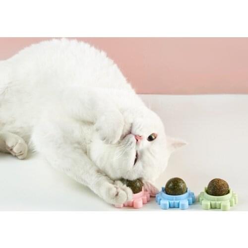 Pet Catnip Toys Edible Nature Mint Ball Safety Healthy Cats Home Chasing Game Toy Clean Teeth Products with Box Moistureproof