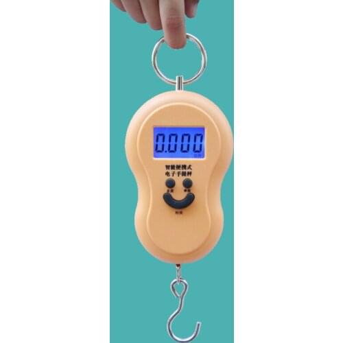 Portable Mini 40Kg/10g LCD Display Luggage Fishing Hook Electronic Weight Digital Scale Pocket Weighing Hanging Scale