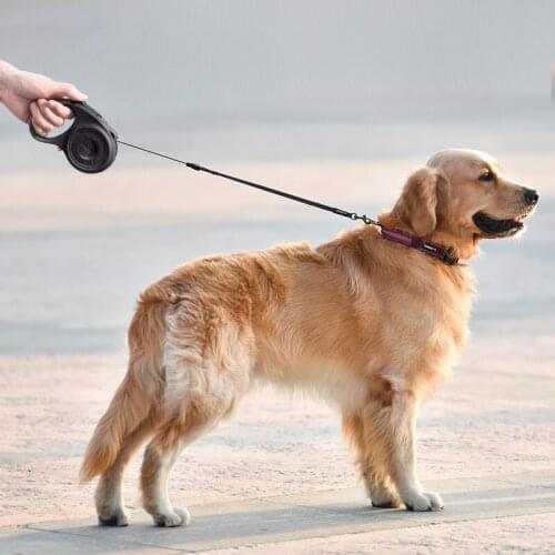 Retractable Dog Leash No Tangle Reflective Pet Leash Automatic Big Dog Leash Walking Training for Puppy Small Medium Large Dog