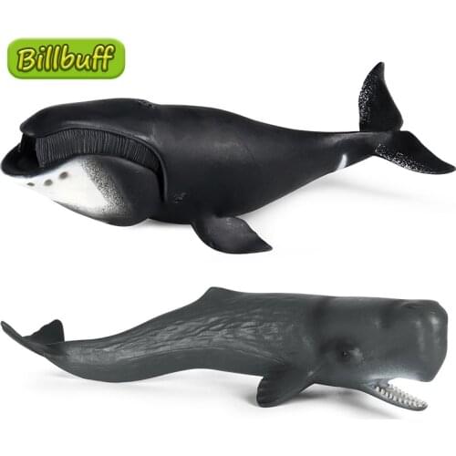 23cm Simulation Ocean Animals Plastic Action Model Bowhead Whale Sperm Whale Figures Collection Toys for Children Ornaments Gift