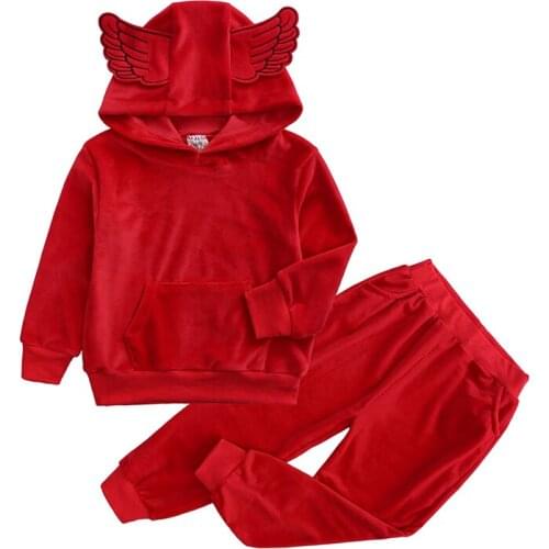 Spring Autumn children Clothing Sets girls Clothes Sets boys tracksuit 3D Angel Wings hoodie 2Pcs/Set Children sweat suit Dtz457