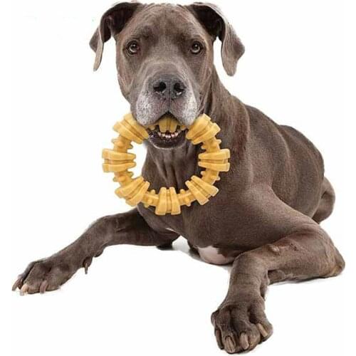 Chew Plus Textured Ring Dog Car Stickers Sunscreen Bumper Windshield Bumper Motorcycle Decal High Quality KK Vinyl Cover PVC