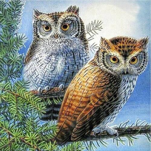 Two Owls on a Branch Diamond Painting Round Full Drill Animal Nouveaute DIY Mosaic Embroidery 5D Cross Stitch Home Decor Gifts