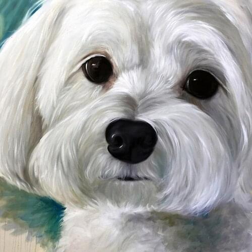 Evershine 5D DIY Diamond Painting Dog Full Square Diamond Embroidery Animal Cross Stitch Mosaic Rhinestones Art Home Decroation