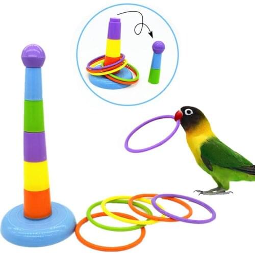 Bird Toy Set Plastic Rings Intelligence Training Parrot Toy Height Adjustable Toss Ring Pet Parrot Toys Bird Supplies