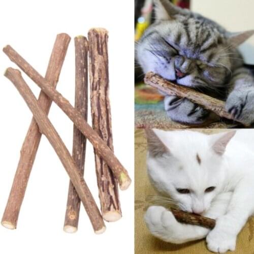 Natural Catnip Pet Cat Molar Toothpaste Stick Cat Snacks Sticks Pet Pure Wood Cleaning Teeth cat accessories
