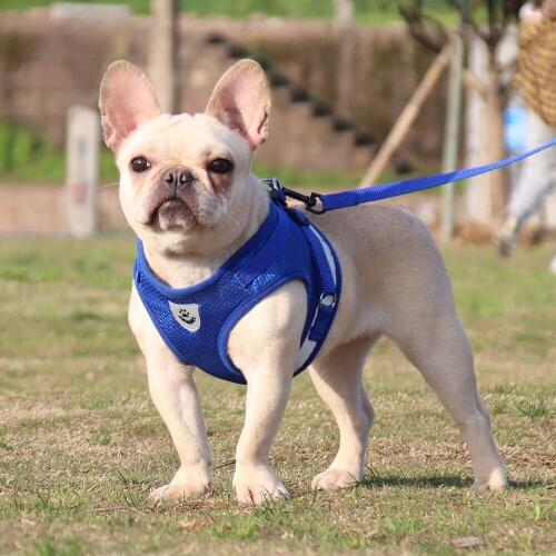 2021 New Style Pet Chest Harness Vest-style Dog Leash Reflective And Breathable Dog Rope Useful Pet Supplies