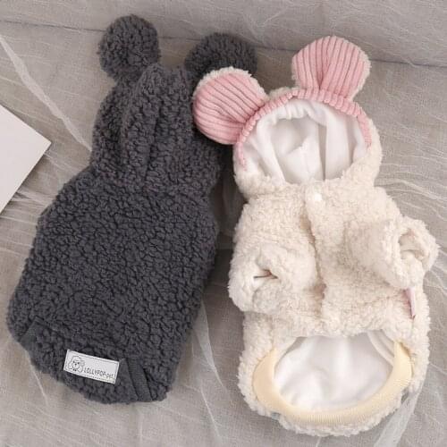 Autumn Winter Dog Coat Teddy Cat Pet Clothes Thickened Linning Warm Cozy Hoodie Cartoon Jacket for Dogs
