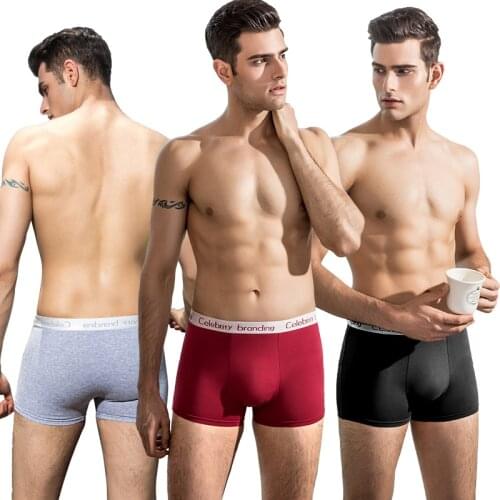 LANGSHA Men's Cotton Briefs
