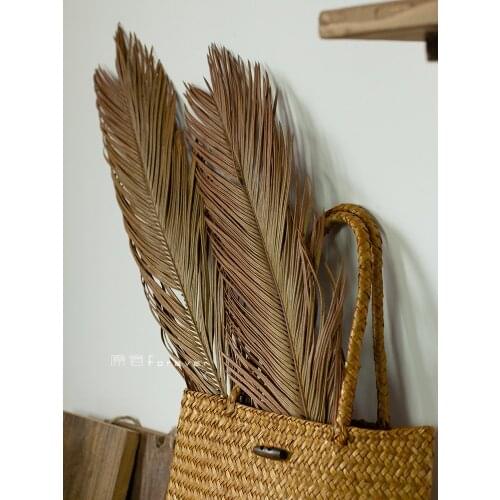 1pcs Natural Dry Branches Soft Decoration Scene Layout Dry Branches Retro Flower Arrangement with Dry Leaves Sago Cycas Branches