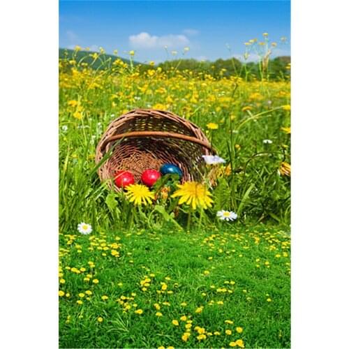 3x5ft New Photography Backdrops Easter Background Eggs Basket Seamless Grass Daisy Blue Sky Photo Background for Photo Studio