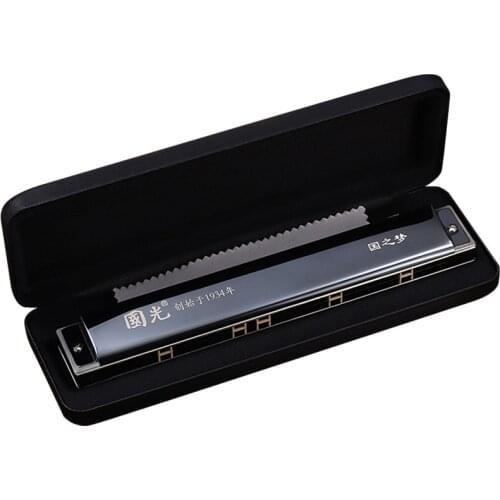 24-Hole Polyphonic Harmonica, C Chord, Portable Mini Harp Instrument, Professional Harmonica for Students, Beginners and Adults