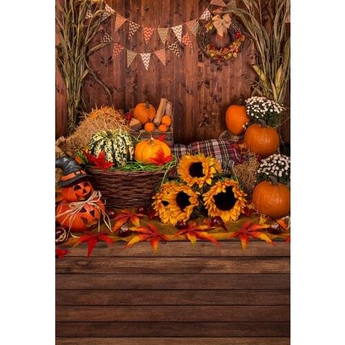 Retro farmland photo backgrounds vinyl fall portrait Halloween child photography backdrops for photo studio accessories lv-2234
