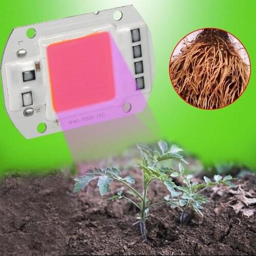 HiMISS Plant Lamps