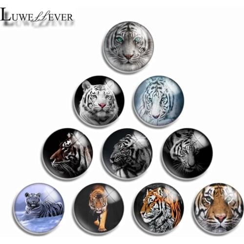 10mm 12mm 14mm 16mm 20mm 25mm 484 Cool Tiger Mix Round Glass Cabochon Jewelry Finding 18mm Snap Button Charm Bracelet