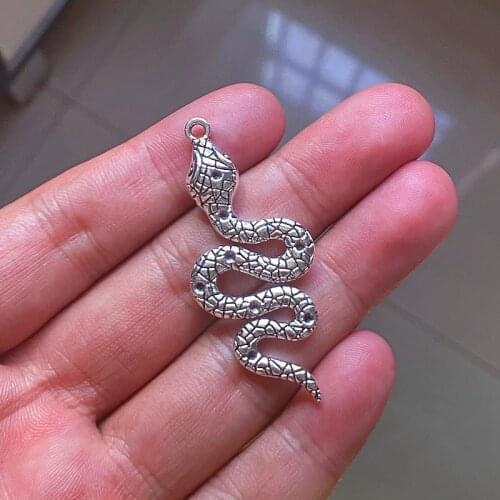 6pcs Eye King Snake Pendants Charms Findings Jewelry Making Diy Women Necklace Earrings Aesthetics Accessories Minimalist Crafts