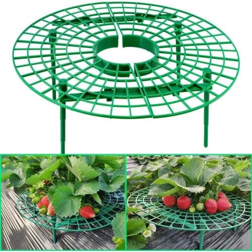 5/10/20PCS Strawberry Supports Adjustable Strawberry Growing Racks Plant Climbing Rack Keeping Fruit Elevated Holder