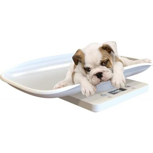 10kg Capacity Used Electronic Digital Animal Pet Platform Scales Cattle Weighing Scales For Cat Dog