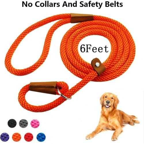 Durable Slip Rope Dog Leash Collar 2 In 1 Adjustable Loop Collar Comfortable Small Meidum Large Pet Harness Leash Pet supplies
