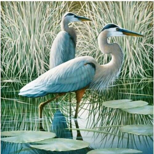 Scenery diamond painting full bird embroidery mosaic diamond dotz stickers rhinestone picture puzzle toy drawing wall decor frog