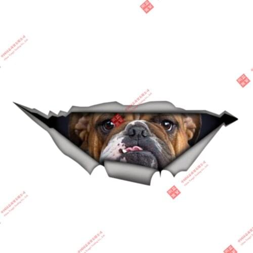 3D Animal 13 x 4.8 Lovely cat decal cat car sticker 3D Pet Graphic Vinyl Decal Car Motorcycle Laptop Vinyl Animal Car Stickers