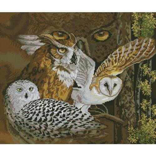 Owl Eagle Cross Stitch Kits Needlework 14CT Unprinted Embroidery Counted Top Quality Counted DIY Handmade Decoration