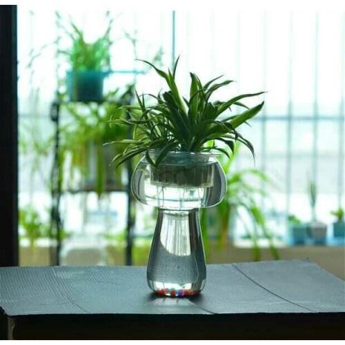 1PC Creative transparent glass mushroom garden vase Decoration pastoral culture Home Furnishing JY 1196