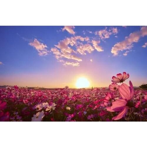 5D Diy Diamond Painting Home Room Scenery Beauty Flower Cross Stitch Full Drill Embroidery Cute Handmade Wall Decor Gift JX607