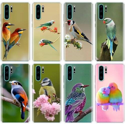 Lovely birds Phone Case For Huawei P40 P30 P20 P10 Mate 20 30 10 P Smart Z + Plus Lite Pro Fashion Cover Coque Capa