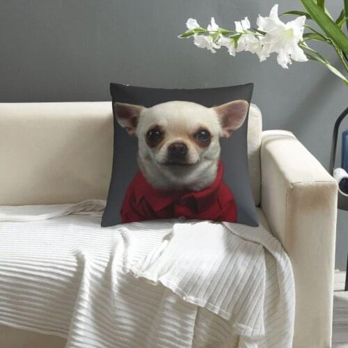 Chihuahua Dog In Stylish Clothes pillowcase printed cushion cover sofa waist pillow pillow cover