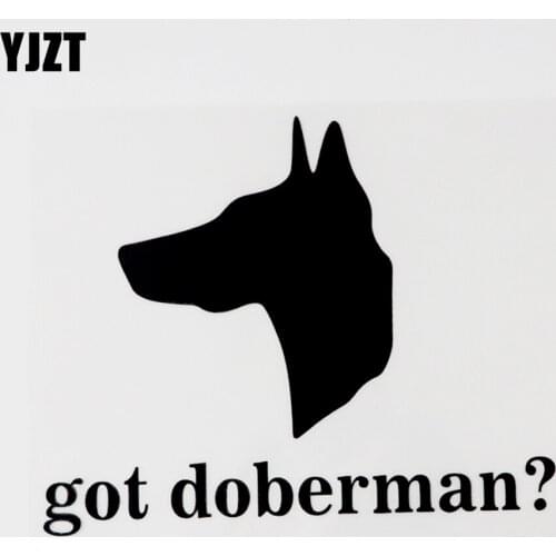 YJZT 14.9CM×12.2CM Fashion Graphical Got Doberman? Vinyl Car Sticker Decals 8C-0741