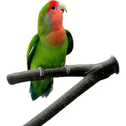 Cute Pet Parrot Wood Fork Stand Rack Toy Hamster Branch Perches Bird Cage Black Tree Branch Simulation Design Climbing Stand