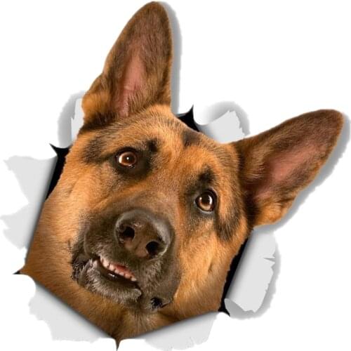 S41034# Various Sizes PVC Self-adhesive Decal Curious German Shepherd Car Sticker Waterproof Auto Decors on Bumper Rear Window